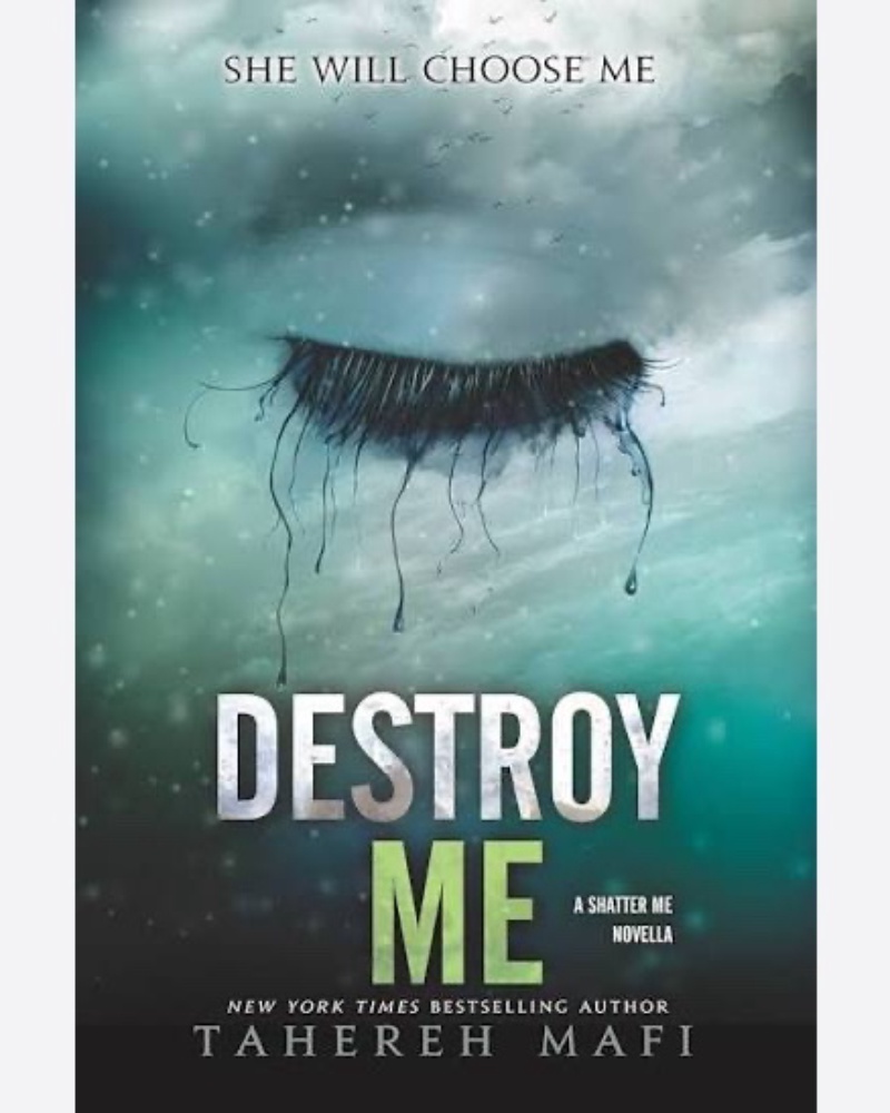 کتاب رمان Destroy Me — جلد کتاب (استاندارد)