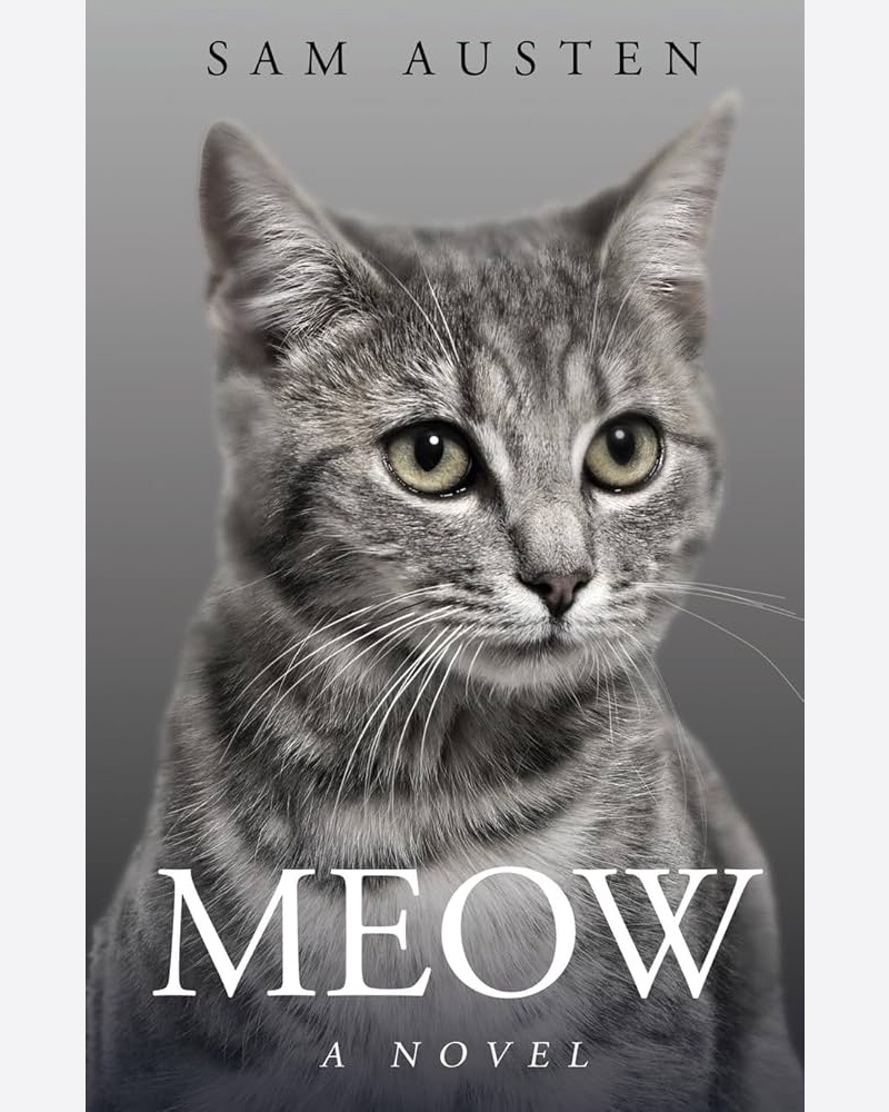 کتاب رمان میو Meow اثر Sam Austen — جلد کتاب (استاندارد)