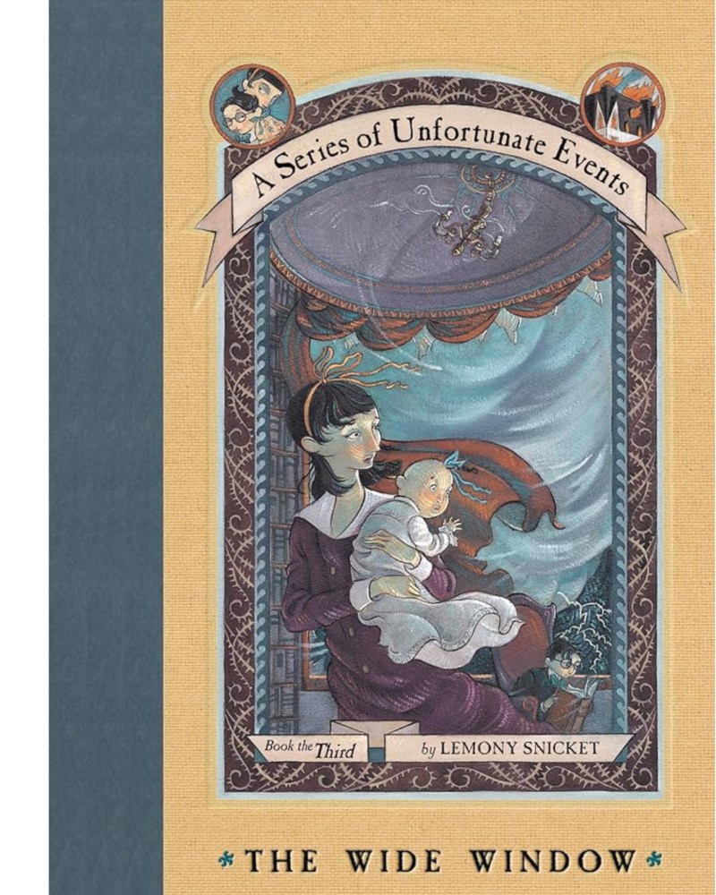 کتاب The Wide Window ( رمان پنجره عریض A Series of Unfortunate Events Book 3) — جلد کتاب (استاندارد)