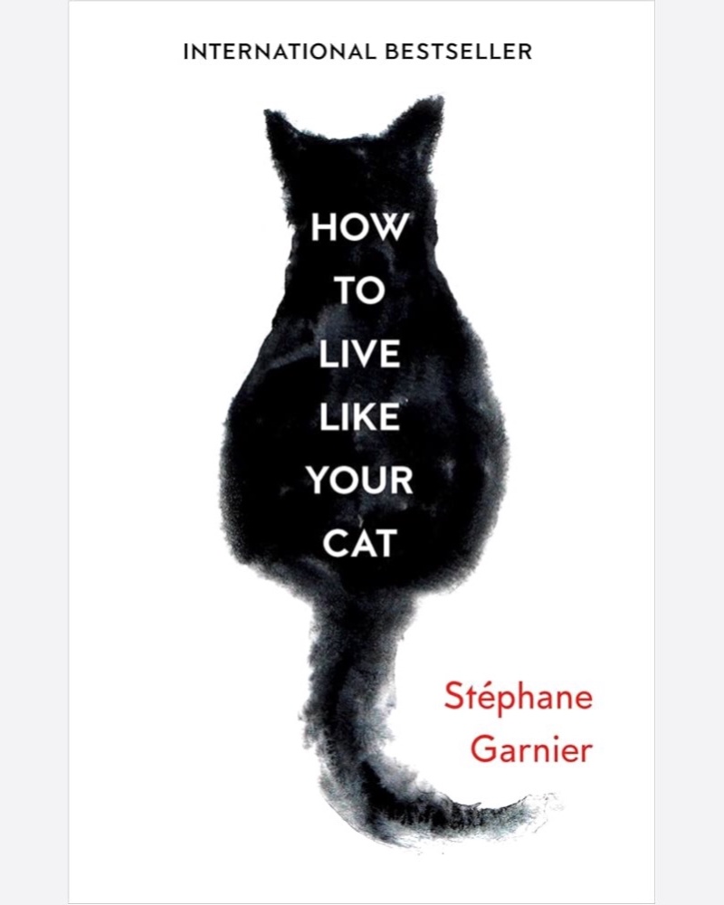 کتاب زبان How To Live Like your cat — جلد کتاب (استاندارد)