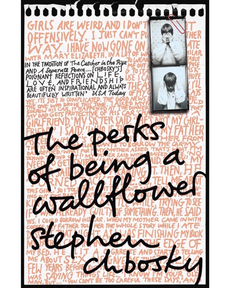کتاب مزایای منزوی بودن Perks Of Being a Wallflower — جلد کتاب (استاندارد)