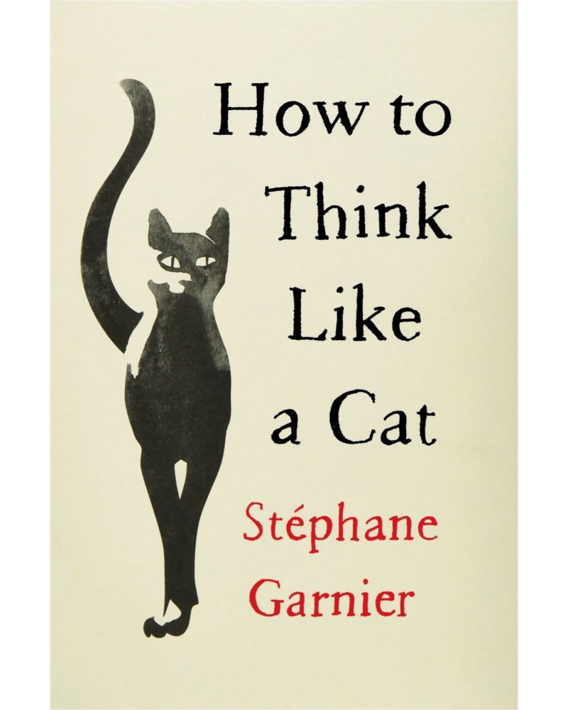کتاب How To Think Like Your Cat — جلد کتاب (استاندارد)