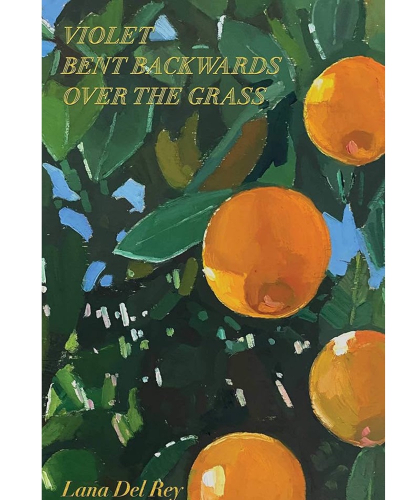 متن کامل Violet Bent Backwards Over the Grass کتاب — جلد کتاب (استاندارد)