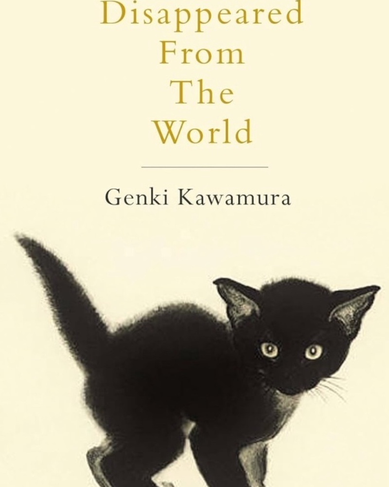 کتاب زبان If Cats disappeared from the the world — جلد کتاب (استاندارد)